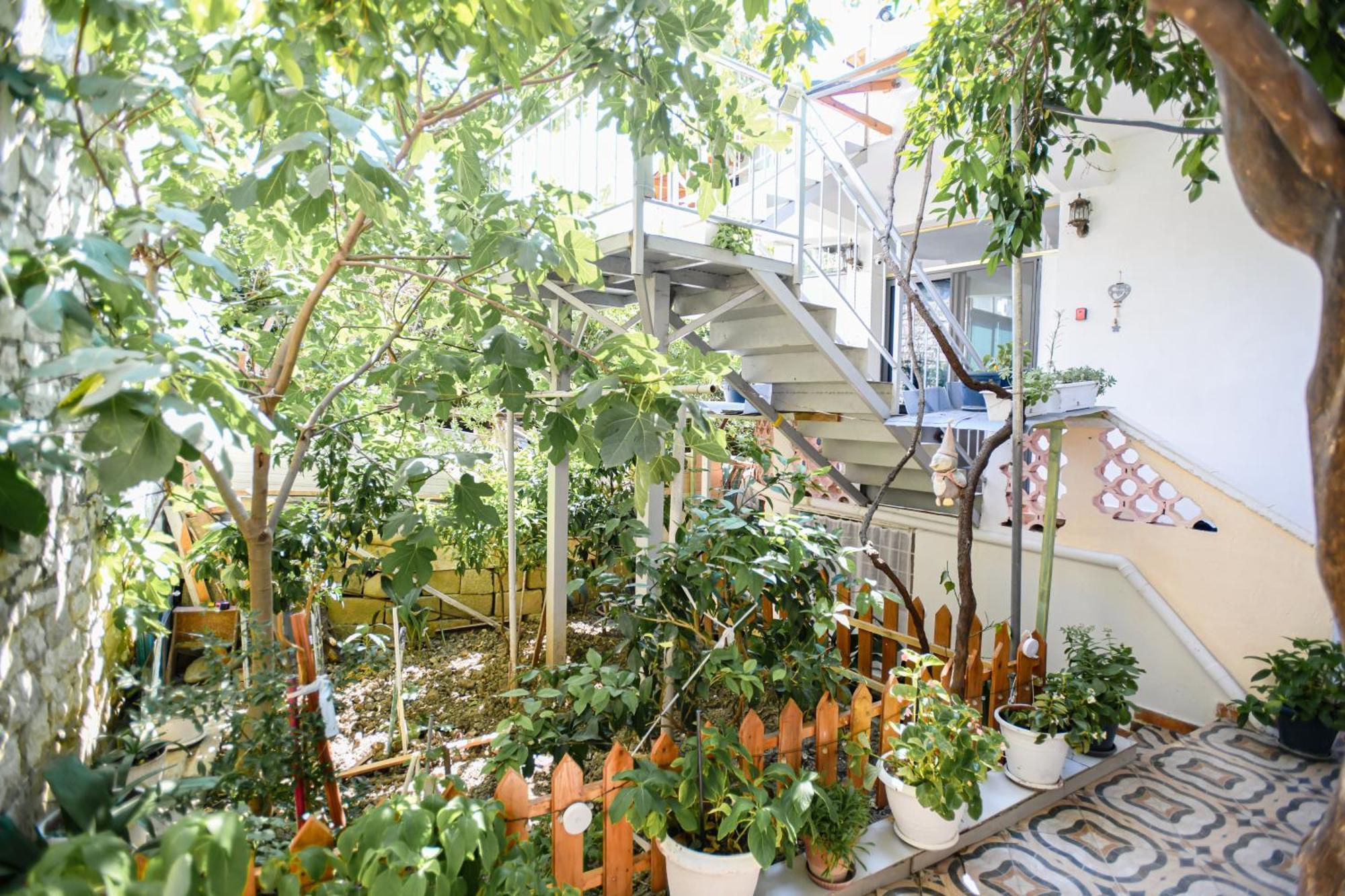 Guest House Flowers Berat Buitenkant foto
